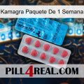 Kamagra 1 Week Pack new14